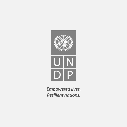 UNDP