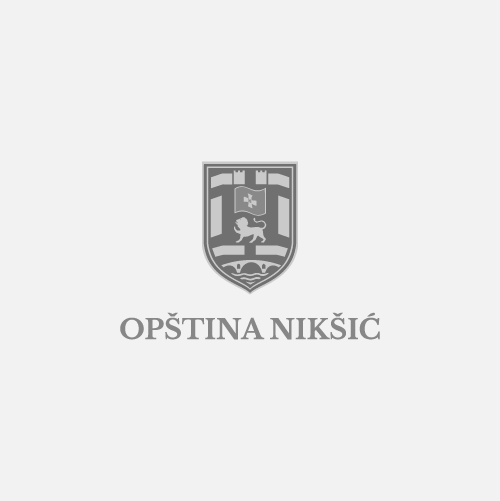 Opština Nikšić